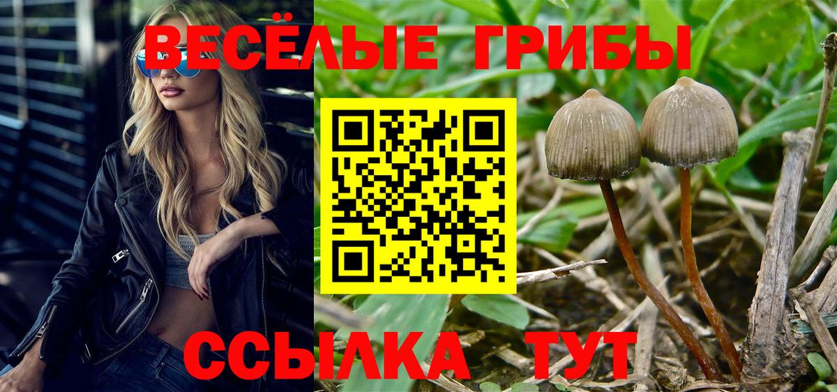 Галлюциногенные грибы мухоморы  Вход с VPN  Мариинск 